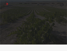 Tablet Screenshot of meritaj.com